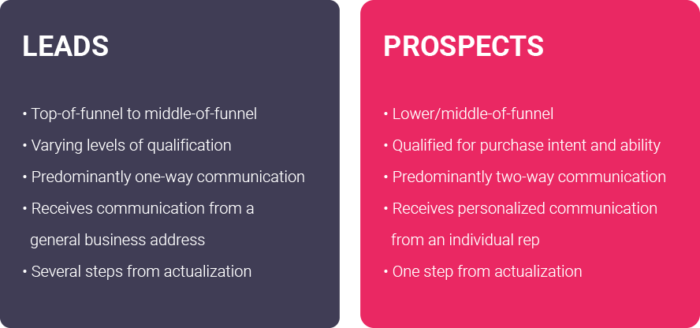 BoomNow Digital Marketing Agency - Lead v prospect